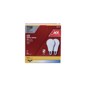 Ace General Purpose A60 Warm White LED Bulb Pack of 2